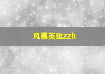 风暴英雄zzh