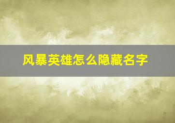 风暴英雄怎么隐藏名字