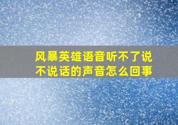 风暴英雄语音听不了说不说话的声音怎么回事