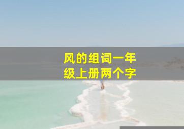 风的组词一年级上册两个字