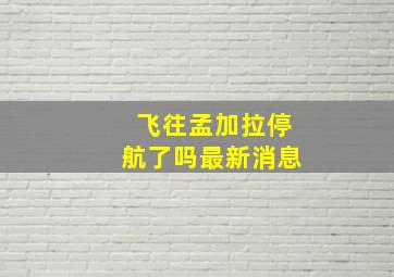 飞往孟加拉停航了吗最新消息