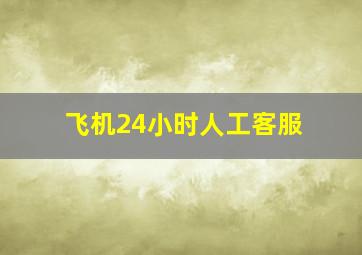 飞机24小时人工客服