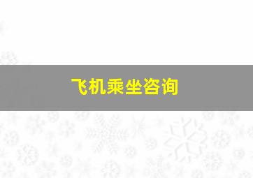 飞机乘坐咨询