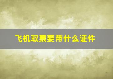 飞机取票要带什么证件