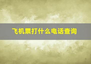 飞机票打什么电话查询