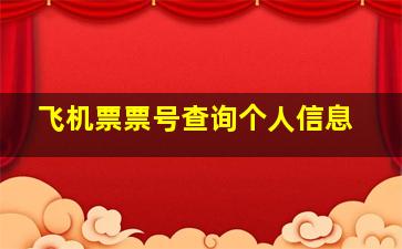 飞机票票号查询个人信息