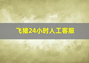 飞猪24小时人工客服