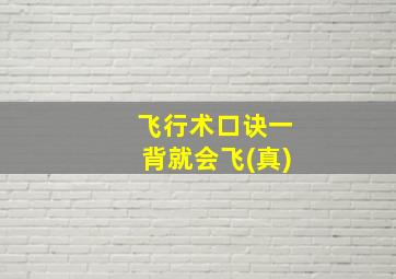 飞行术口诀一背就会飞(真)