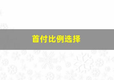 首付比例选择