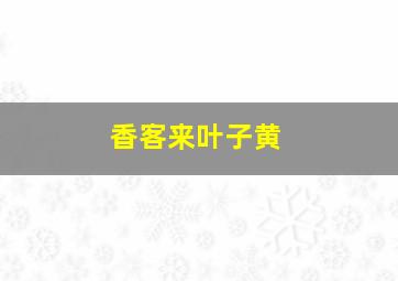 香客来叶子黄