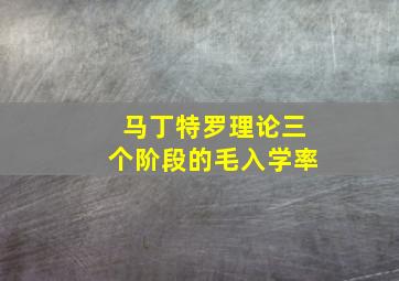 马丁特罗理论三个阶段的毛入学率