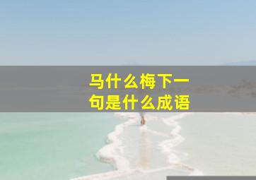 马什么梅下一句是什么成语