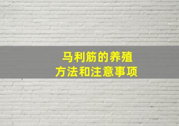 马利筋的养殖方法和注意事项