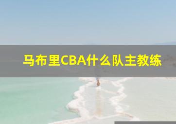 马布里CBA什么队主教练