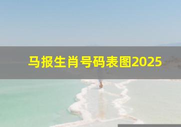 马报生肖号码表图2025