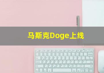 马斯克Doge上线