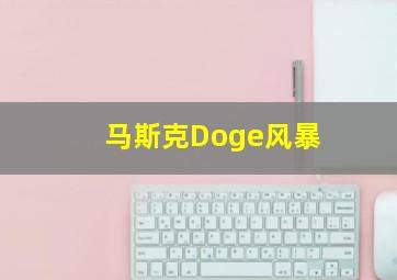 马斯克Doge风暴