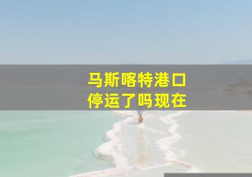 马斯喀特港口停运了吗现在