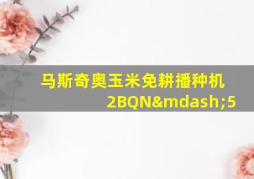 马斯奇奥玉米免耕播种机2BQN—5