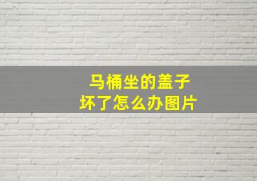 马桶坐的盖子坏了怎么办图片