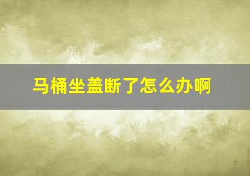 马桶坐盖断了怎么办啊