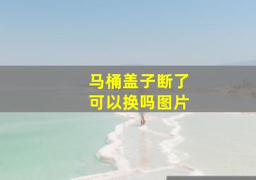 马桶盖子断了可以换吗图片