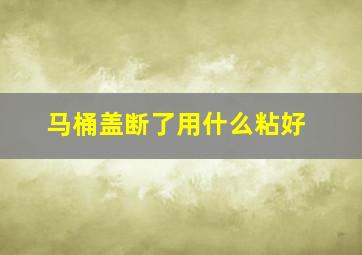 马桶盖断了用什么粘好