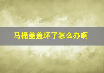 马桶盖盖坏了怎么办啊