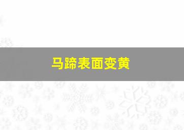 马蹄表面变黄