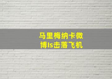 马里梅纳卡微博Is击落飞机