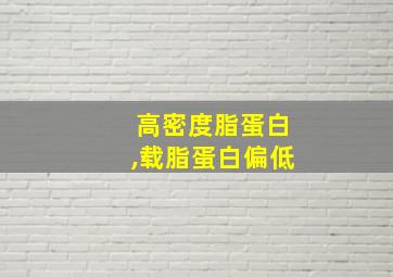 高密度脂蛋白,载脂蛋白偏低