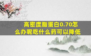 高密度脂蛋白0.70怎么办呢吃什么药可以降低