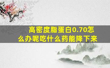 高密度脂蛋白0.70怎么办呢吃什么药能降下来