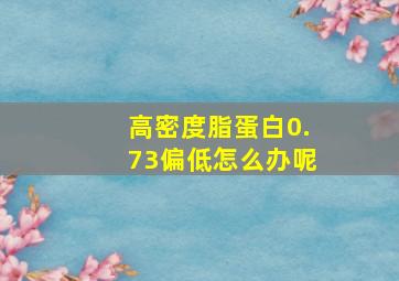 高密度脂蛋白0.73偏低怎么办呢