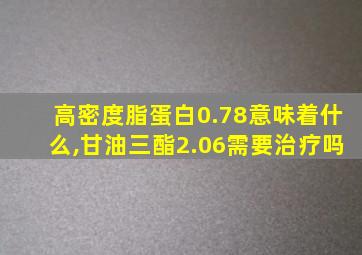 高密度脂蛋白0.78意味着什么,甘油三酯2.06需要治疗吗