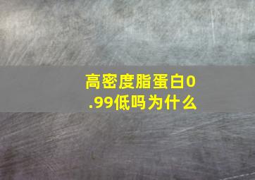 高密度脂蛋白0.99低吗为什么