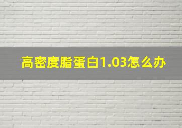 高密度脂蛋白1.03怎么办