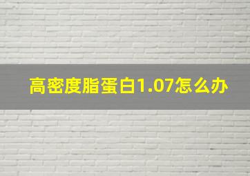 高密度脂蛋白1.07怎么办