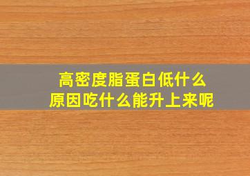 高密度脂蛋白低什么原因吃什么能升上来呢