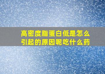 高密度脂蛋白低是怎么引起的原因呢吃什么药