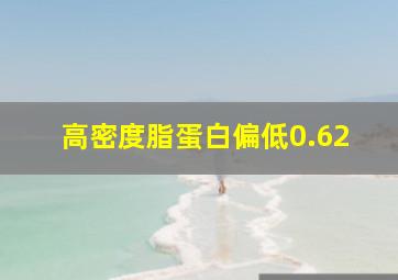 高密度脂蛋白偏低0.62