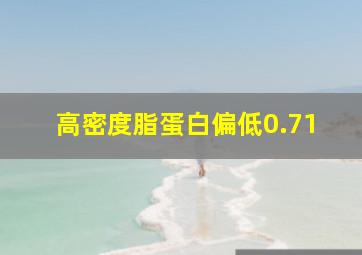 高密度脂蛋白偏低0.71