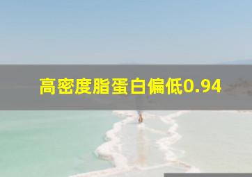 高密度脂蛋白偏低0.94