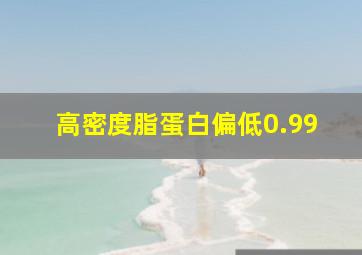 高密度脂蛋白偏低0.99