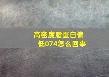 高密度脂蛋白偏低074怎么回事