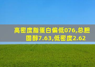 高密度脂蛋白偏低076,总胆固醇7.63,低密度2.62