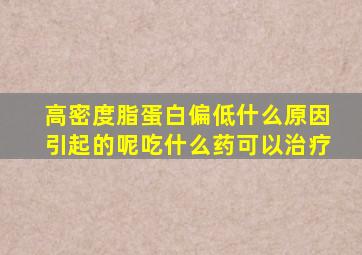 高密度脂蛋白偏低什么原因引起的呢吃什么药可以治疗