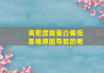 高密度脂蛋白偏低是啥原因导致的呢