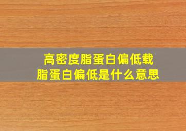 高密度脂蛋白偏低载脂蛋白偏低是什么意思