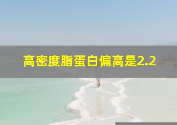 高密度脂蛋白偏高是2.2